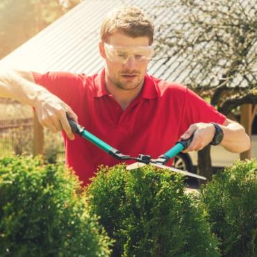 Home and Garden Maintenance